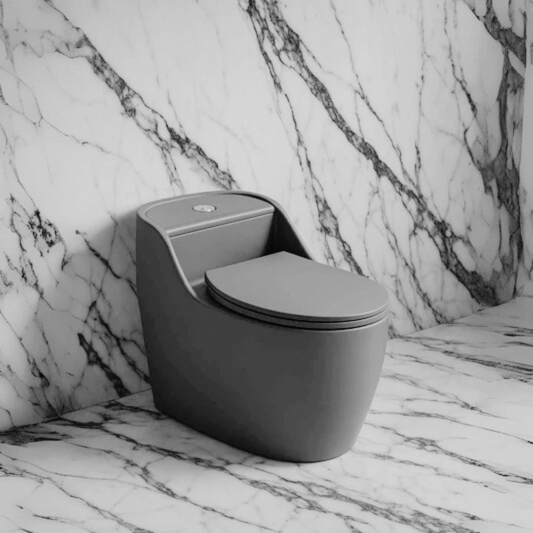 trap Matt gray toilet | EQIT 102